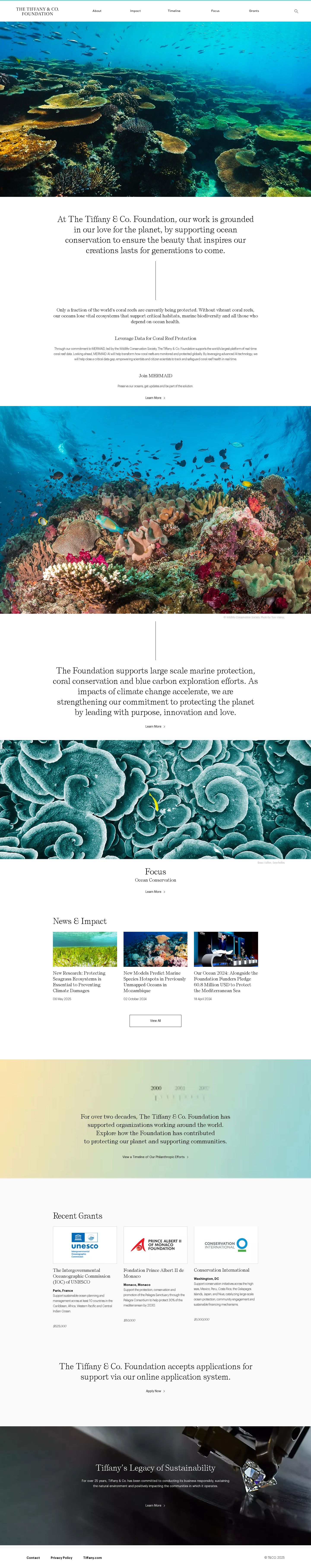 The Tiffany & Co. Foundation website homepage, desktop