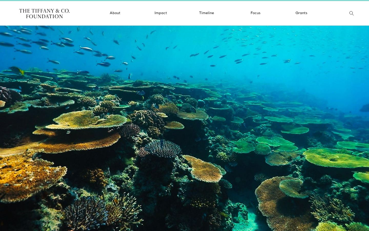The Tiffany & Co. Foundation website homepage, desktop